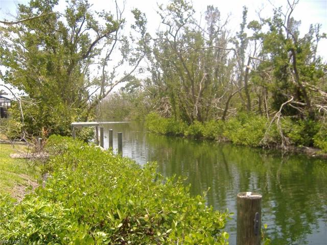 Canal in back of home