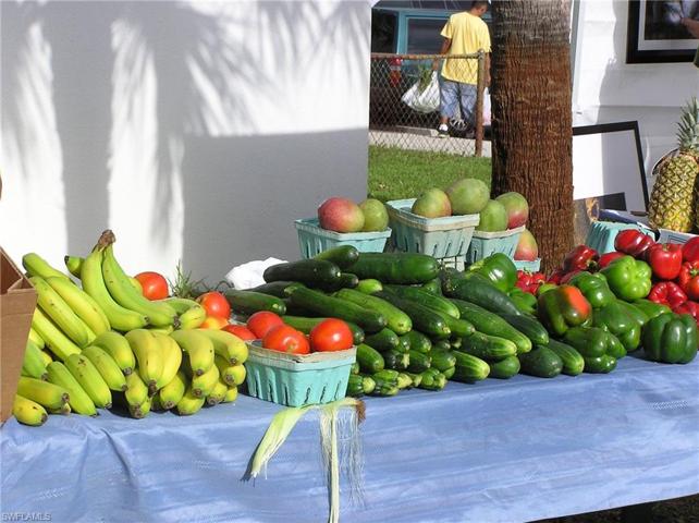 Local farmer's market is just down the street.  Open on Saturday Nov-May.