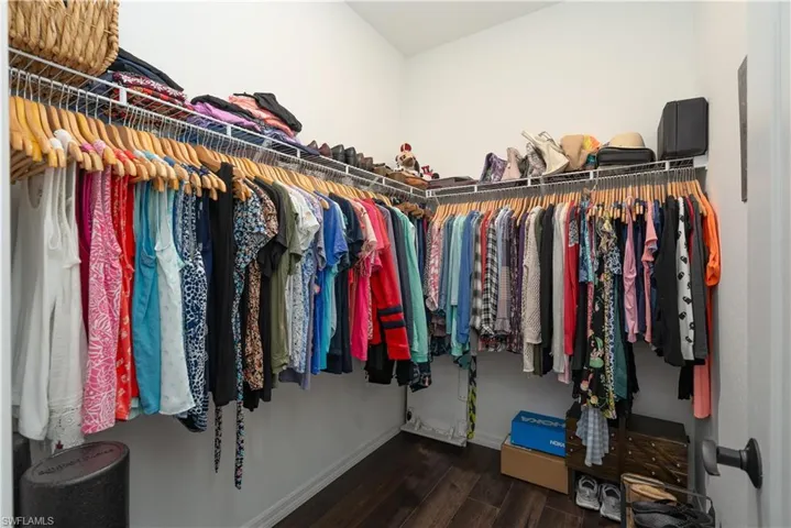 Spacious closet featuring wood-type flooring
