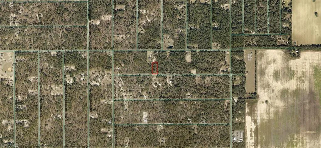 1806-002-033 SW Papaya  LN, Dunnellon, FL 34431