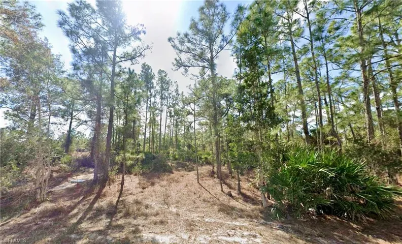 339 Mines St, Lehigh Acres, Florida 33972
