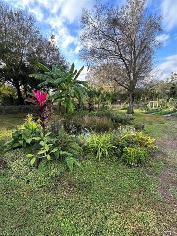 Pond