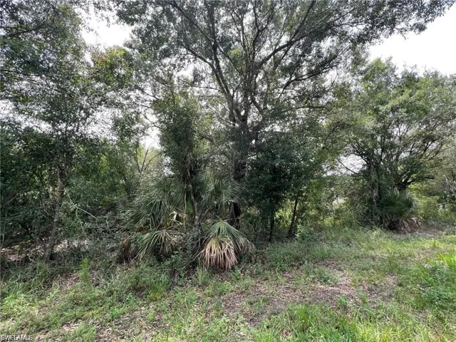 1316 Canton Ave, Lehigh Acres, Florida 33972