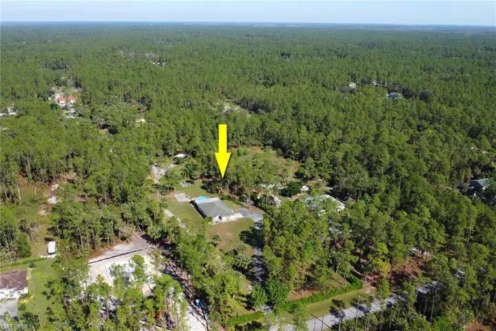 Beautifully cleared 2.73 Acre lot that is 100% Upland with privacy throughout. You can not see your neighbors! This is a beautiful home and lot!