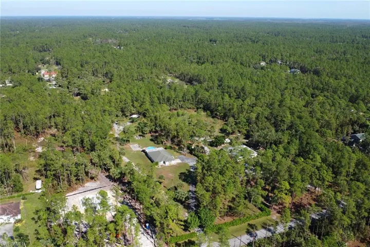 This photo shows you how spacious and cleared the lot is! Also shows how set back the home is with a long paved driveway, privacy shrubs and fence throughout!