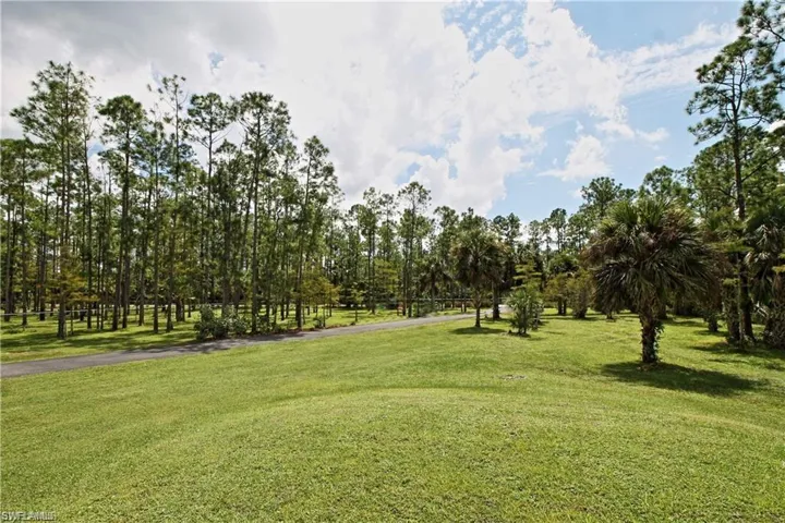 Front yard with long paved driveway- fully fenced with added calusa shrubs throughout for added privacy.