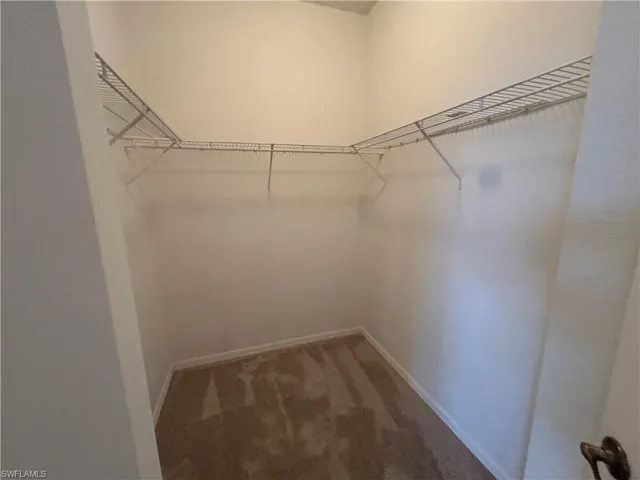 Spacious closet featuring dark carpet