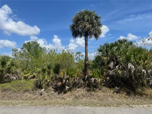 12th NE AVE, Naples, FL 34120