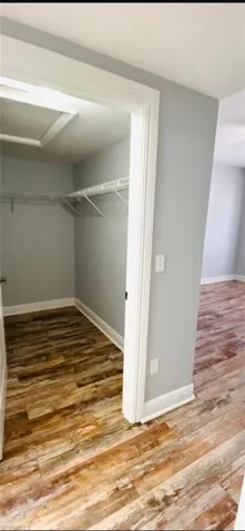 Walk-in closet featuring wood-finish flooring and wire shelving
