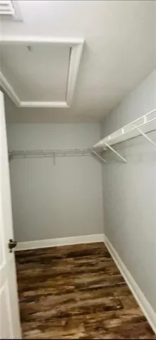 Storage area featuring wood-finish flooring and white wire shelving