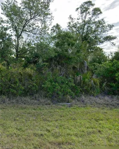 2262 Cornelius Blvd, Port Charlotte, Florida 33953