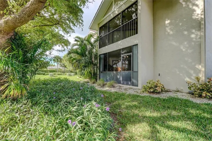 View of Backyard