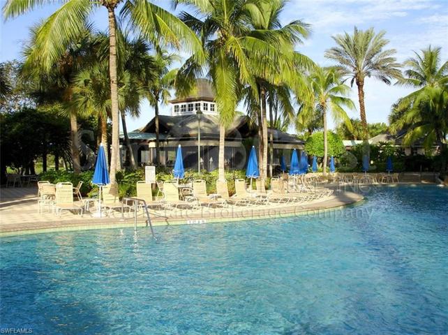 Fiddler's Creek Pool