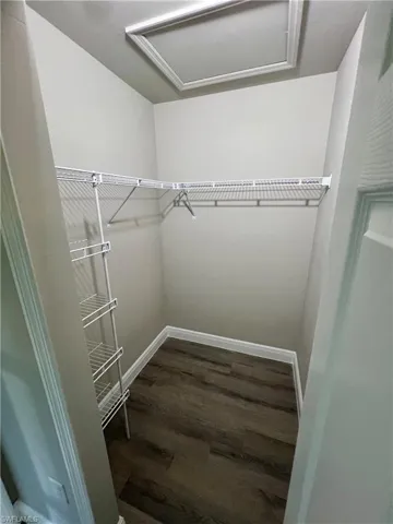 Spacious closet featuring wood-type flooring