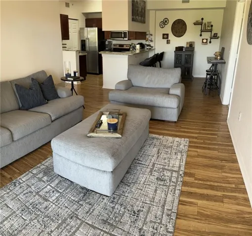 Living room featuring dark wood-type flooring