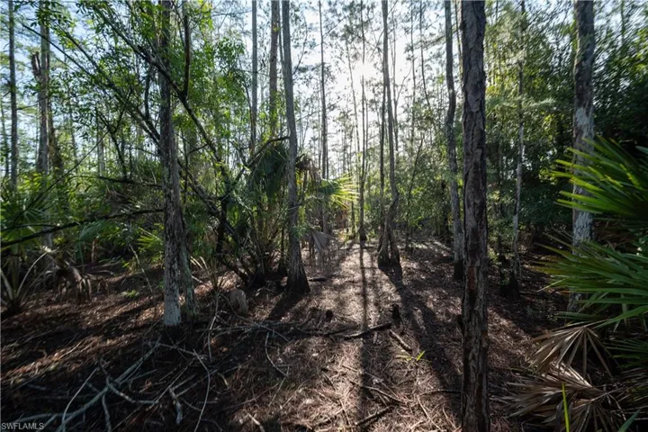 0 2nd Ave Ne, Naples, Florida 34120