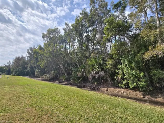 Backyard facing Preserve