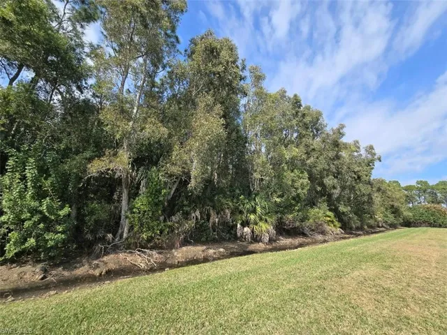 Backyard facing Preserve View 2