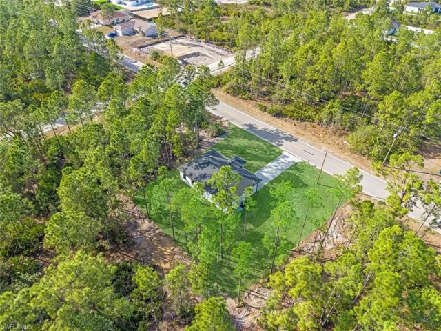 Bird's eye view of a tree filled landscape