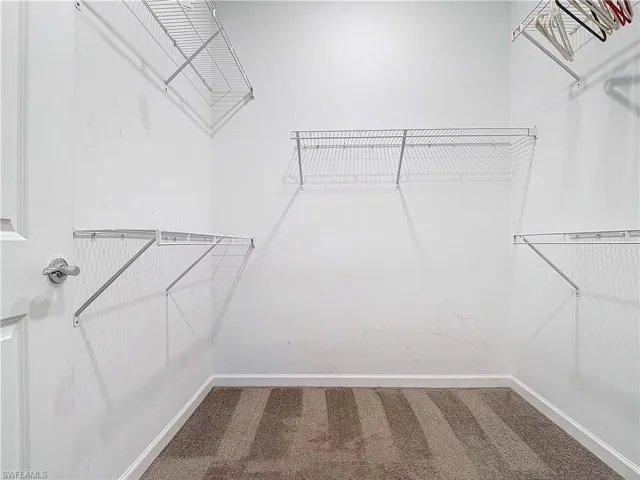 Walk in closet with carpet