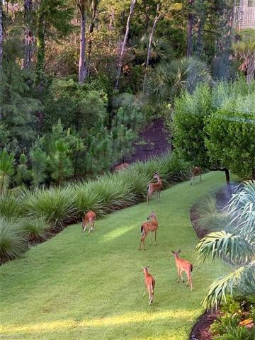 Nothing but nature and privacy from the master bedroom, great room, and sun room!
