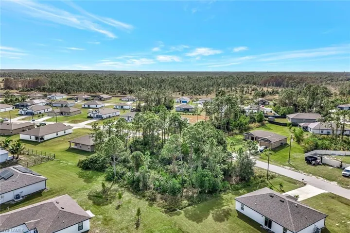 Aerial perspective of suburban area with a forest
