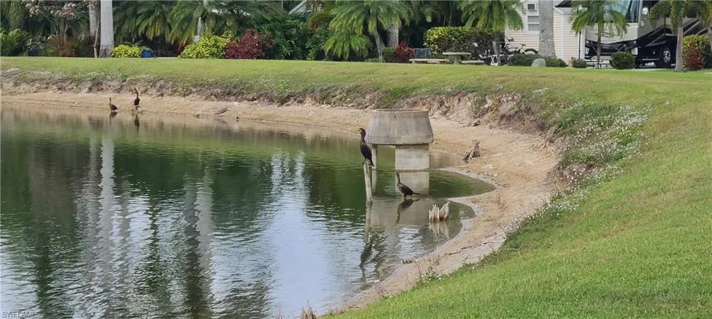 View of water feature