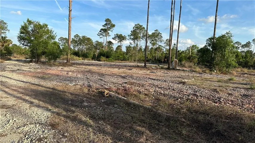 View of local wilderness