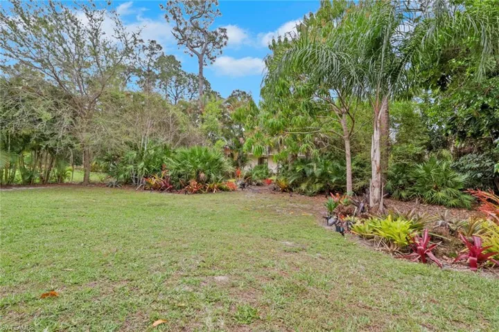 View of oversized privatebackyard
