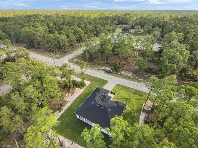 Bird's eye view of a forest