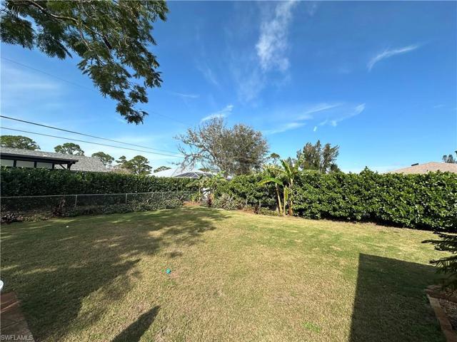 Back Right Corner of yard