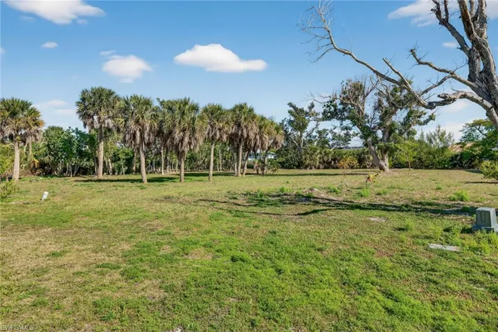 View of lot