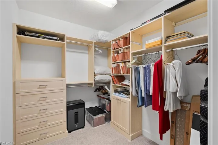 Walk in closet with carpet flooring