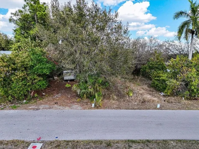View of yard featuring view of scattered trees