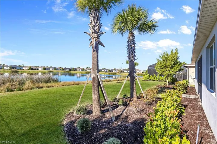 Backyard lake view