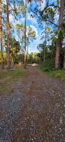 View of street