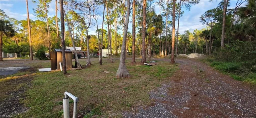 View of grassy yard