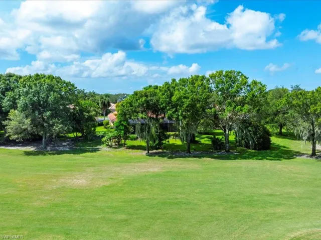 Your view includes a live oak tree and a huge bird of paradise. In the background is the beautifully maintained public golf course