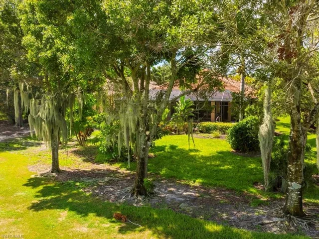 Large back yard , very tropical . Amzazing view