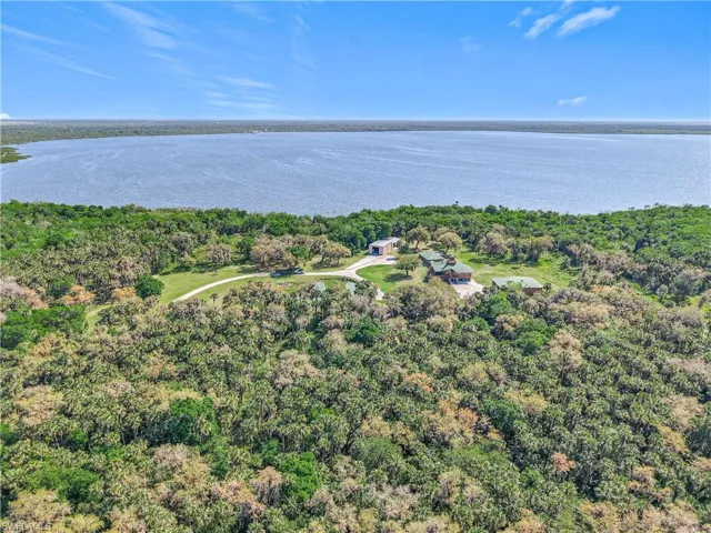 Birds eye view of property with a water view and a forest view