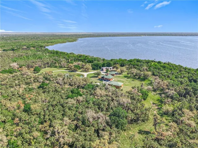 Bird's eye view featuring a water view and a wooded view