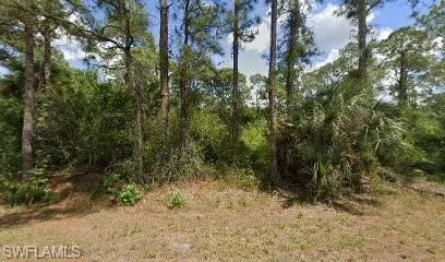 View of local wilderness