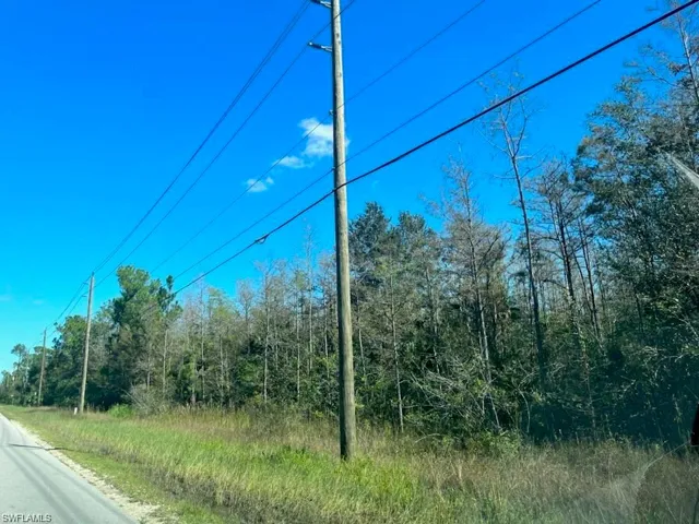 View of asphalt road featuring a view of trees