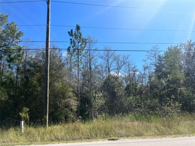View of asphalt street