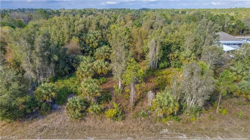 Aerial view of a heavily wooded area