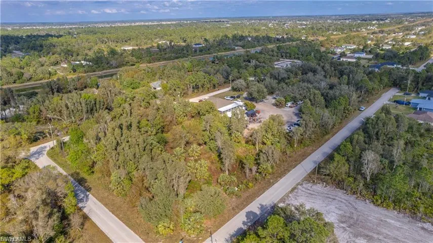 Aerial view of a forest