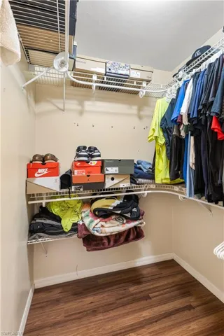 Spacious closet featuring wood-type flooring