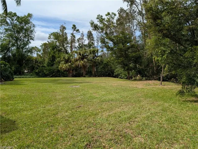 View of back yard lawn