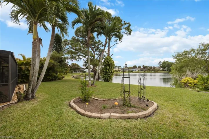 back yard