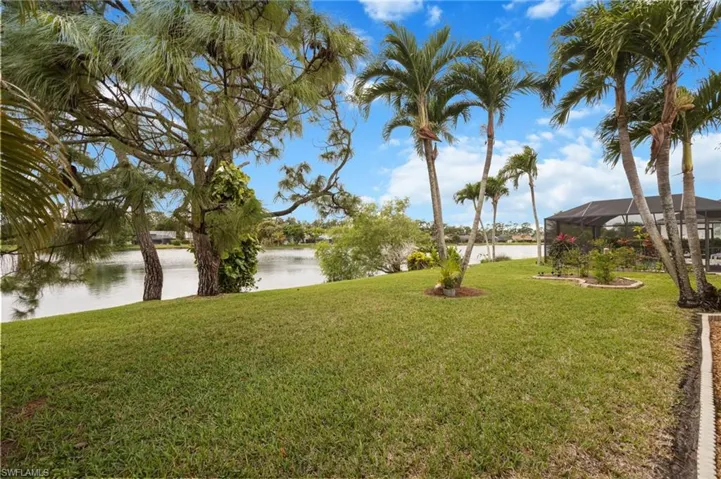 back yard